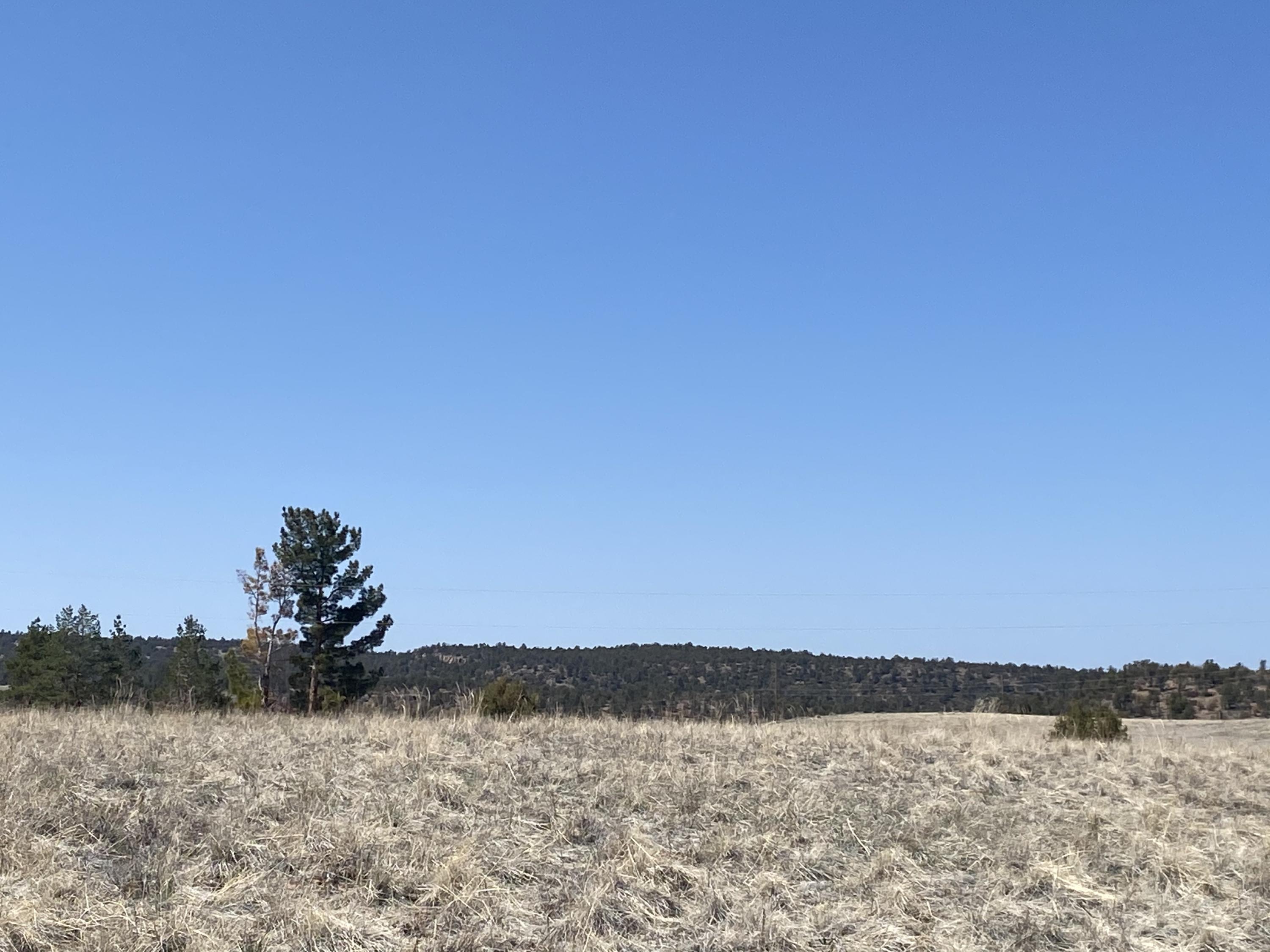 0 Rolling Hills Road Young, AZ 85554 - Photo 8 of 21