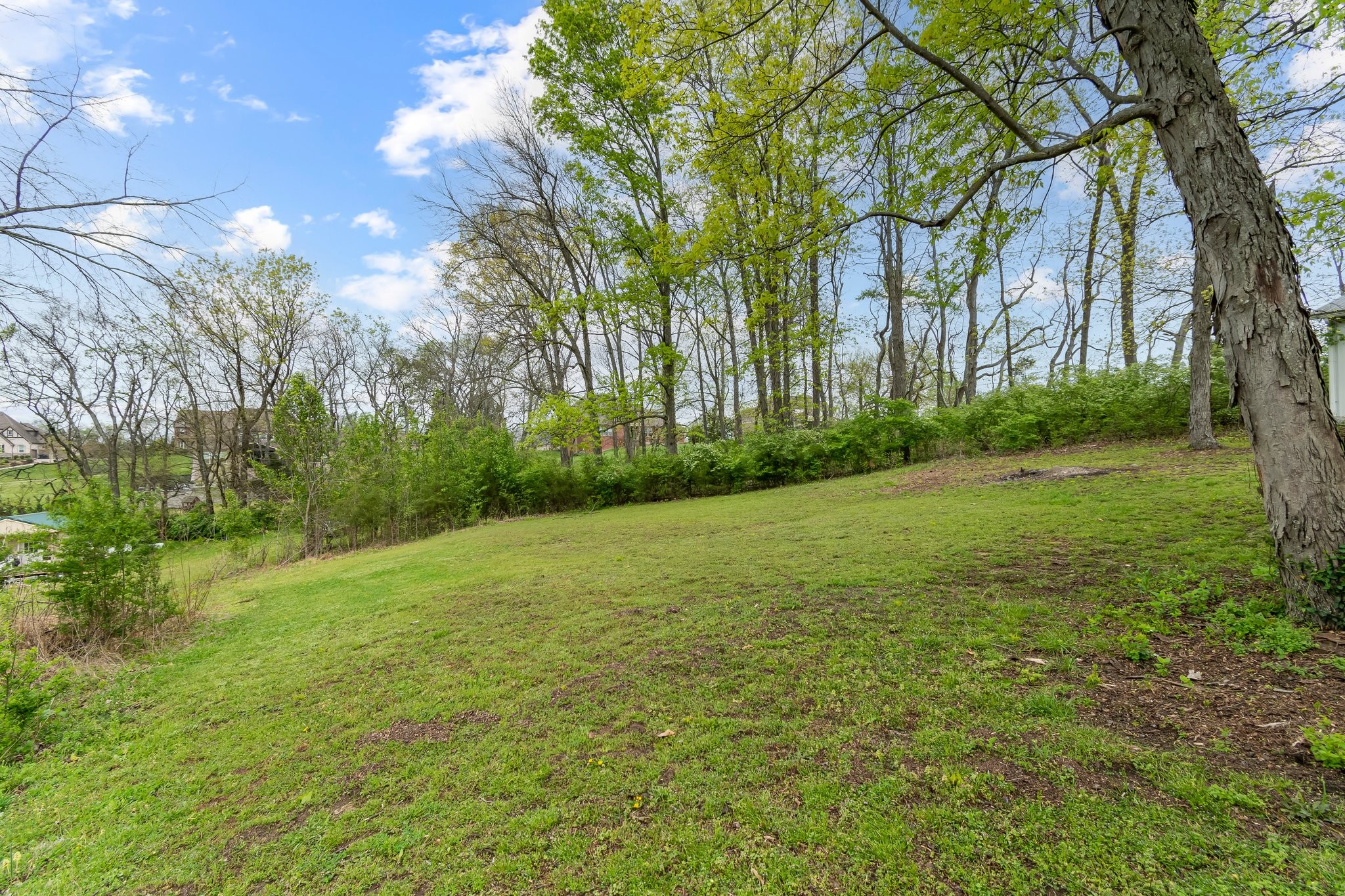 4103 Arno Road Franklin, TN 37064 - Photo 25 of 34