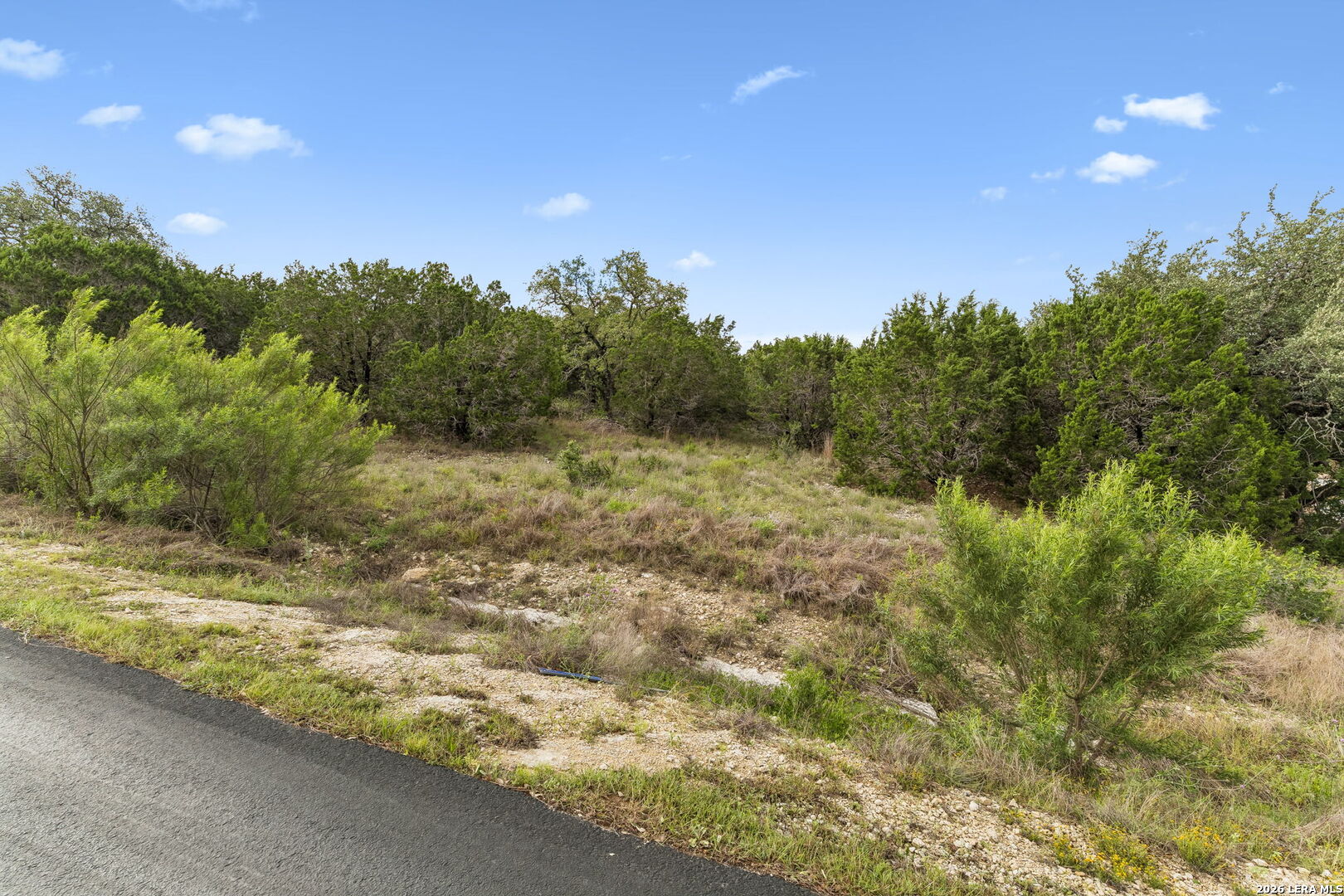 293 River Cliff Place Spring Branch, TX 78070 - Photo 9 of 15