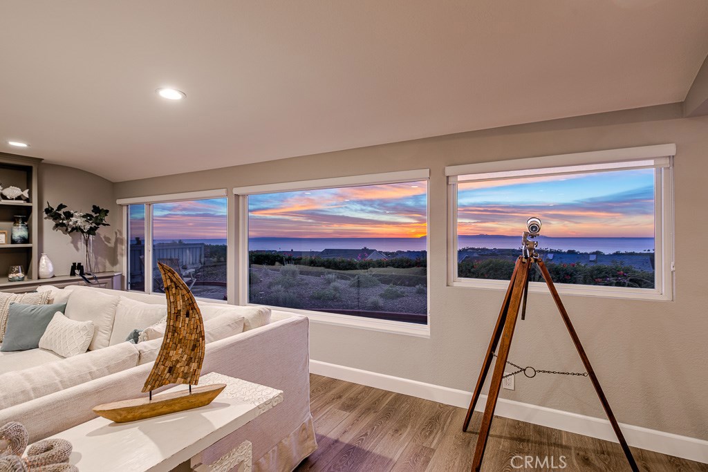 33531 Marlinspike Drive Dana Point, CA 92629 - Photo 28 of 52 a living room with a large window