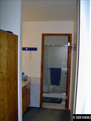 1080 Combination Road Reno, NV 89521 - Photo 6 of 7 a bathroom with a shower and a sink