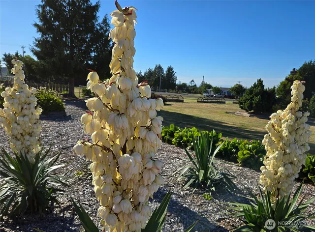 $699,000 | 52 Libby Street, Sequim, WA 98382