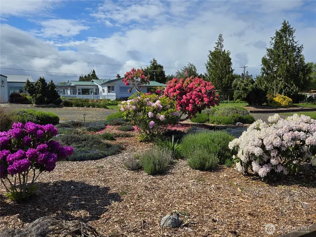 a view of outdoor space yard and mountain view