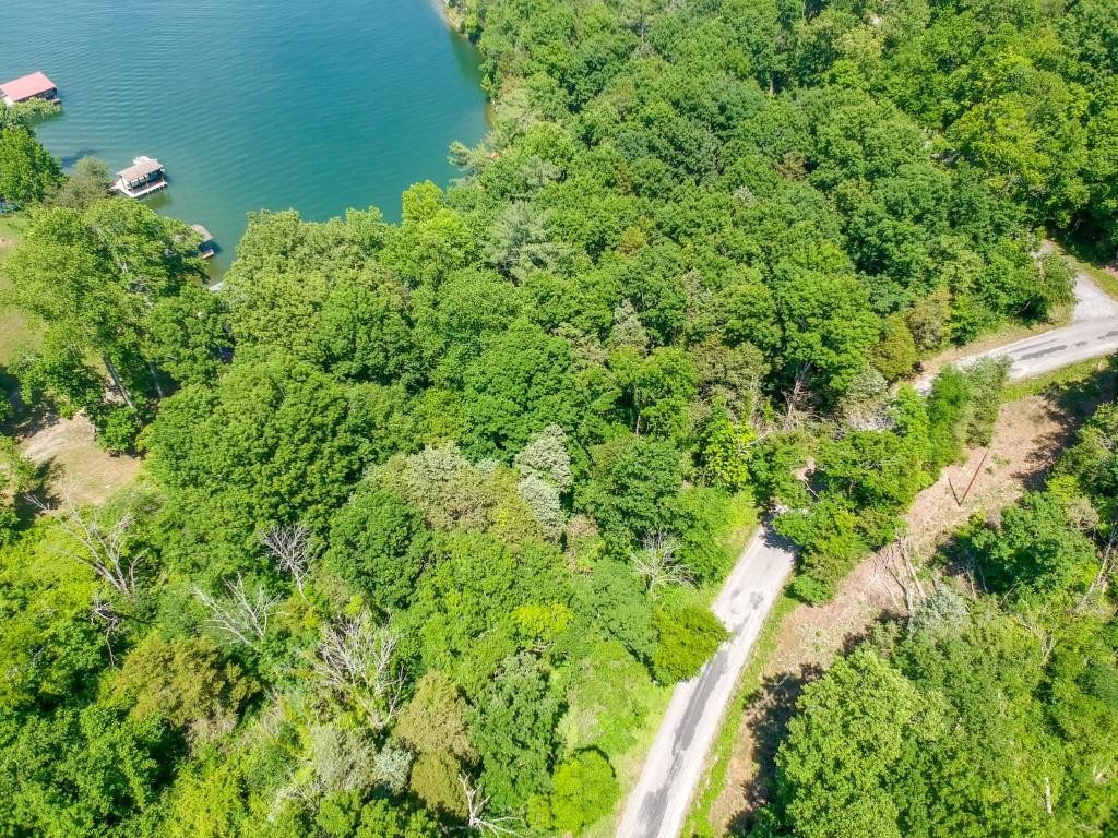0 Blue Water Trail Spring City, TN 37381 - Photo 10 of 36 Gallery Image 10