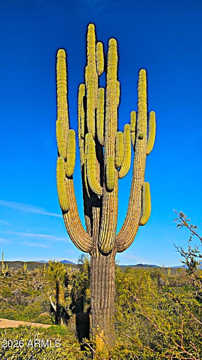 142-x4 East Montello Road Scottsdale, AZ 85262 - Photo 29 of 50