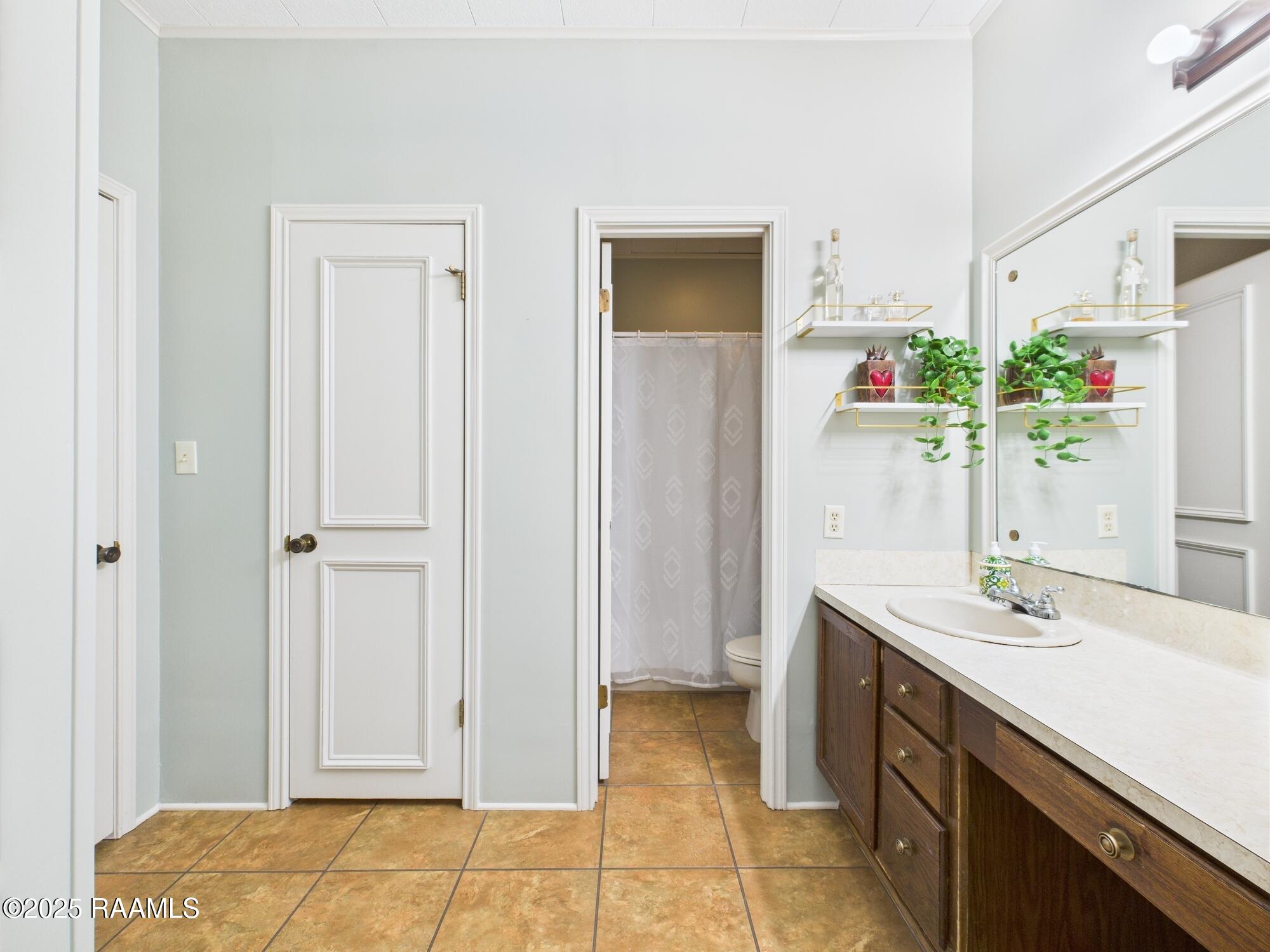 19004 Highway 335 Kaplan, LA 70548 - Photo 10 of 30 Main Bath