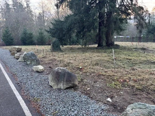 a view of an outdoor space with trees in the background