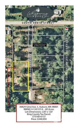 a view of a walk in a yard