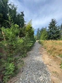 a view of a yard with a tree