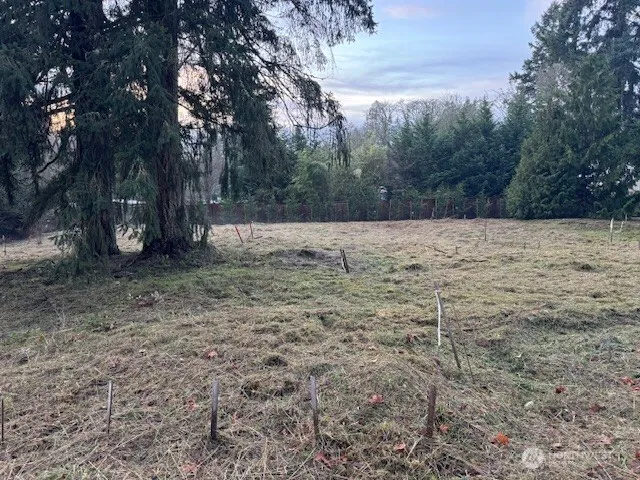 a backyard of a house with lots of green space