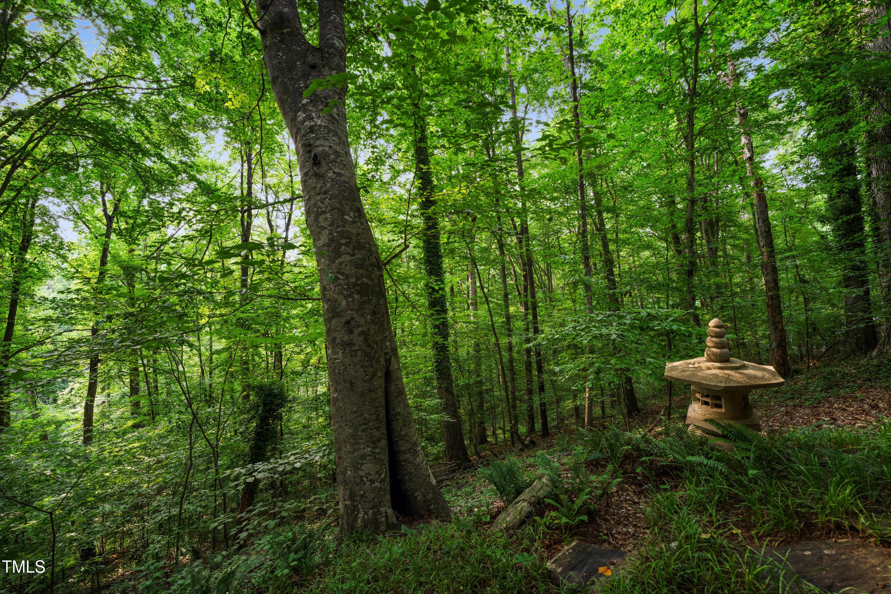 3416 Ocotea Street Raleigh, NC 27607 - Photo 4 of 7 a view of an outdoor space with lots of trees