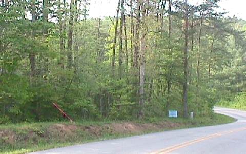 1768 Old Loving Road Morganton, GA 30560 - Photo 1 of 1 Main View