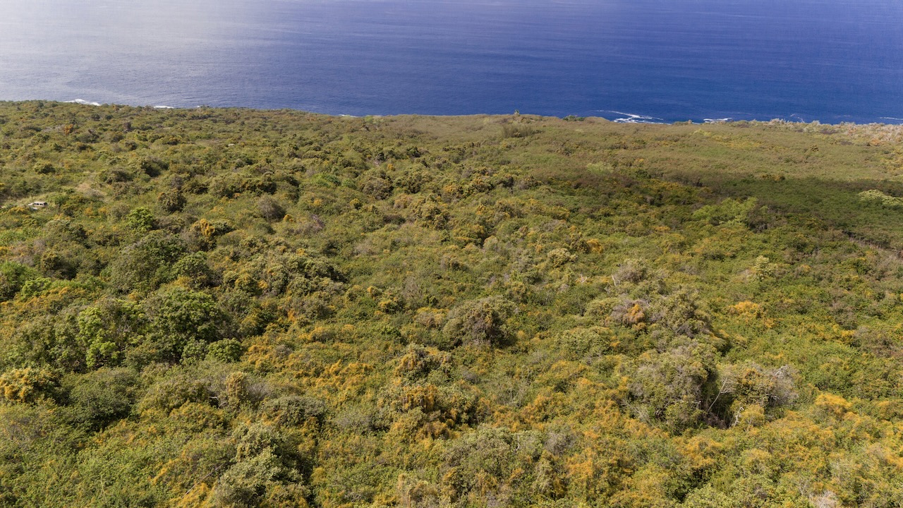 87-2721 Lot 2a Hawaii Belt Road Captain Cook, HI 96704 - Photo 14 of 17 a view of a large window with an outdoor space