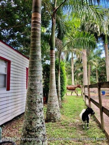 2762 F Road Loxahatchee, FL 33470 - Photo 13 of 25 a view of a backyard with chairs and a patio