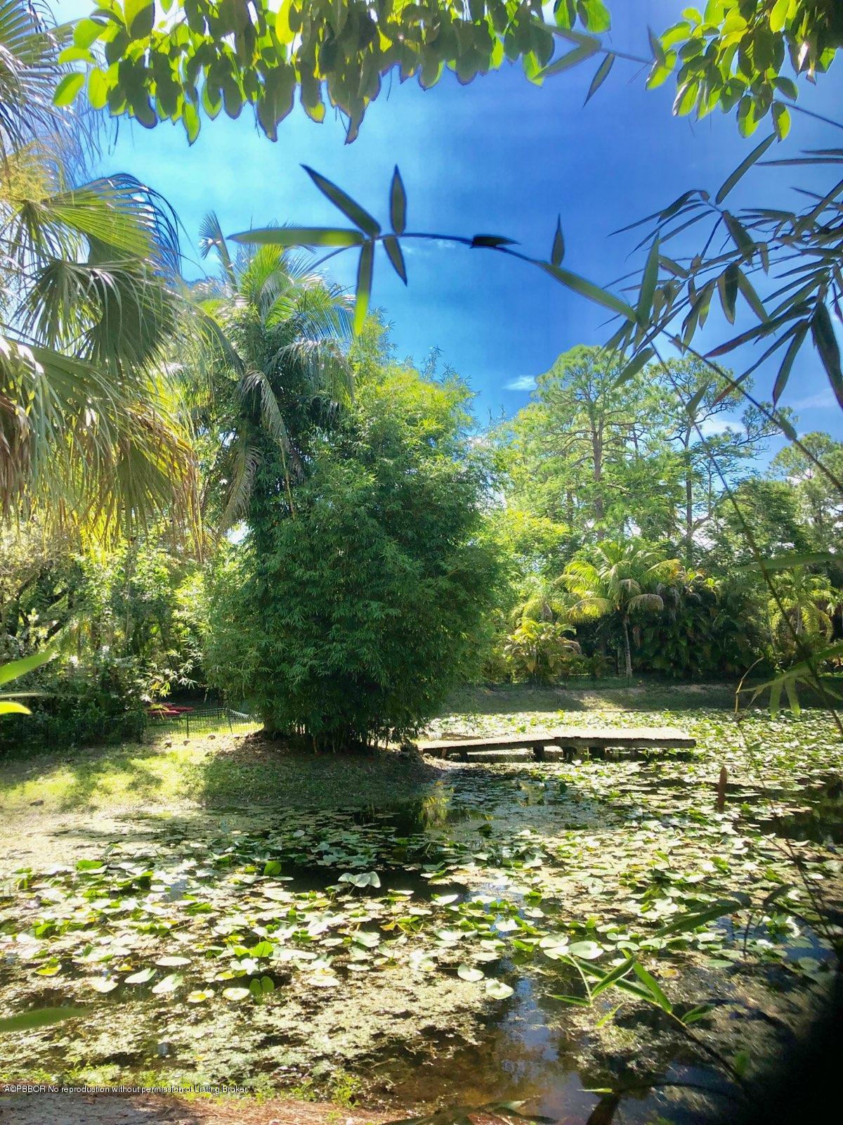 2762 F Road Loxahatchee, FL 33470 - Photo 3 of 25 a view of a water pond with green yard