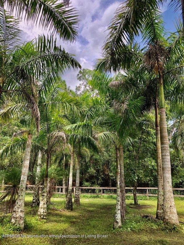 2762 F Road Loxahatchee, FL 33470 - Photo 23 of 25 a view of a yard with a palm trees