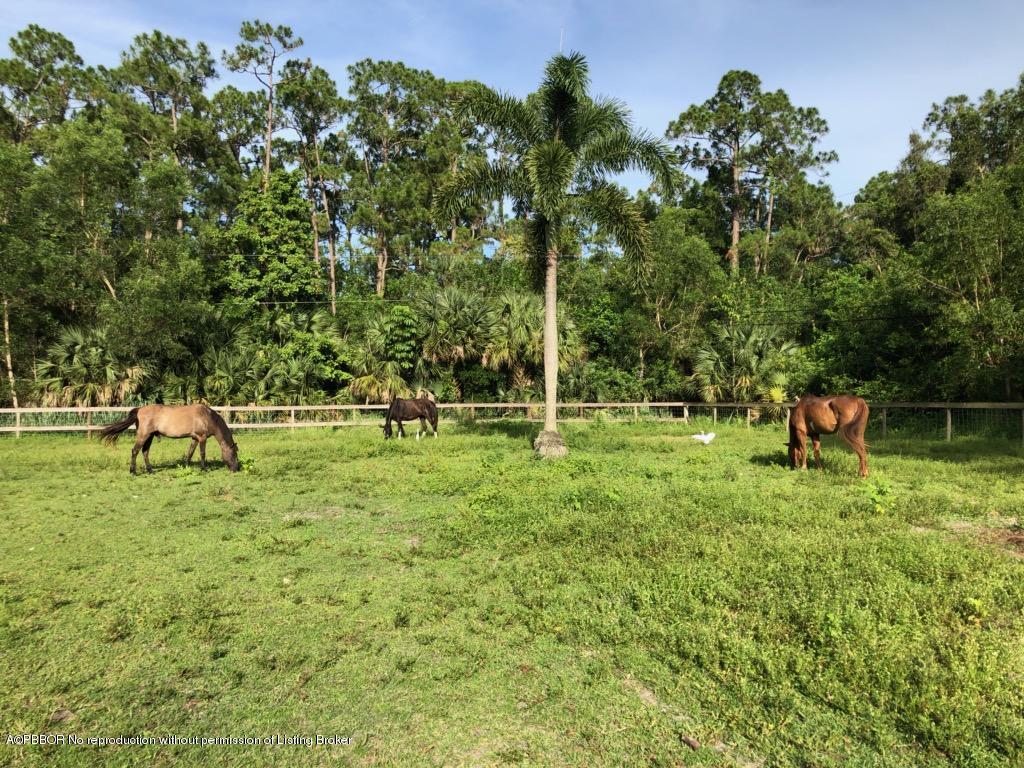 2762 F Road Loxahatchee, FL 33470 - Photo 10 of 25 a view of green field