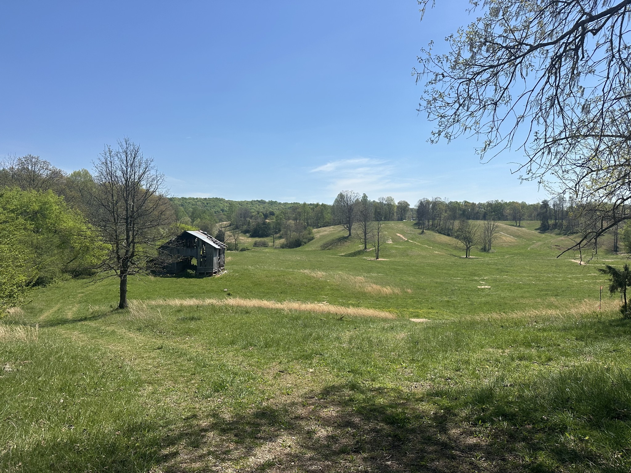 515 Jericho Road Quebeck, TN 38579 - Photo 14 of 54 Gallery Image 14
