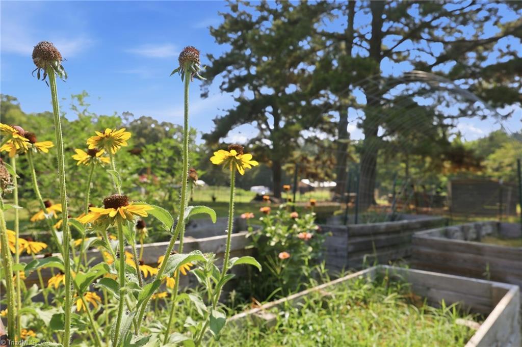 24654 Matton Grove Church Road Gold Hill, NC 28071 - Photo 12 of 40