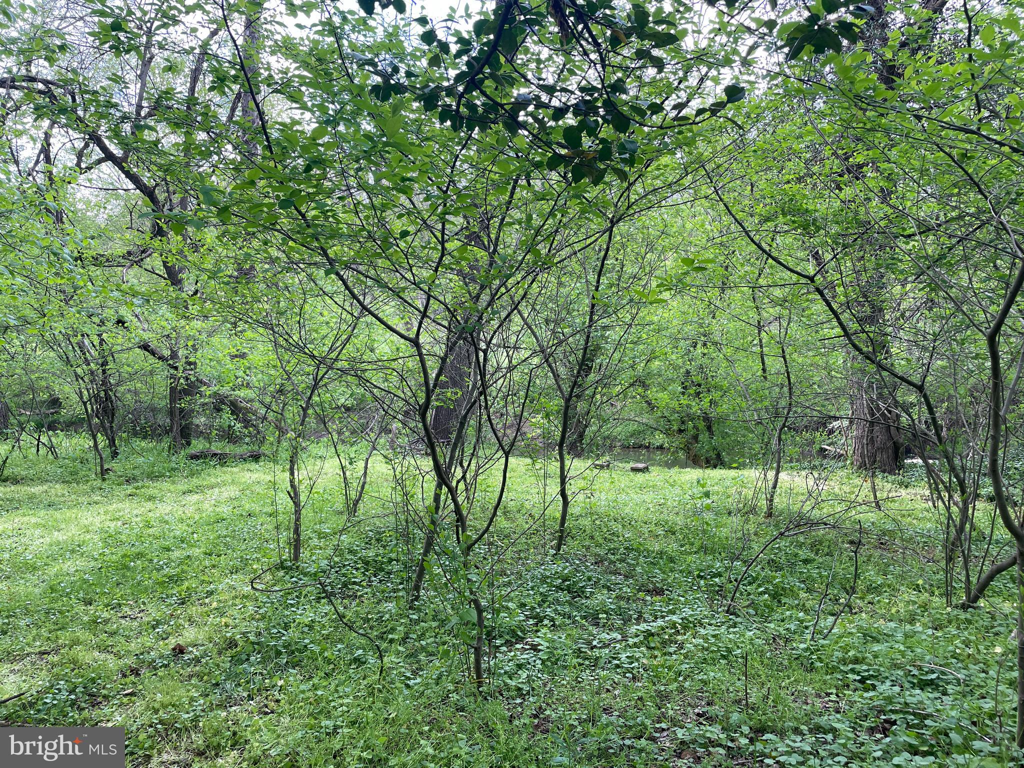 0 River Road Pequea, PA 17565 - Photo 6 of 28 a view of yard