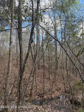 $169,900 | Fairchild Road, Meridian, MS 39307