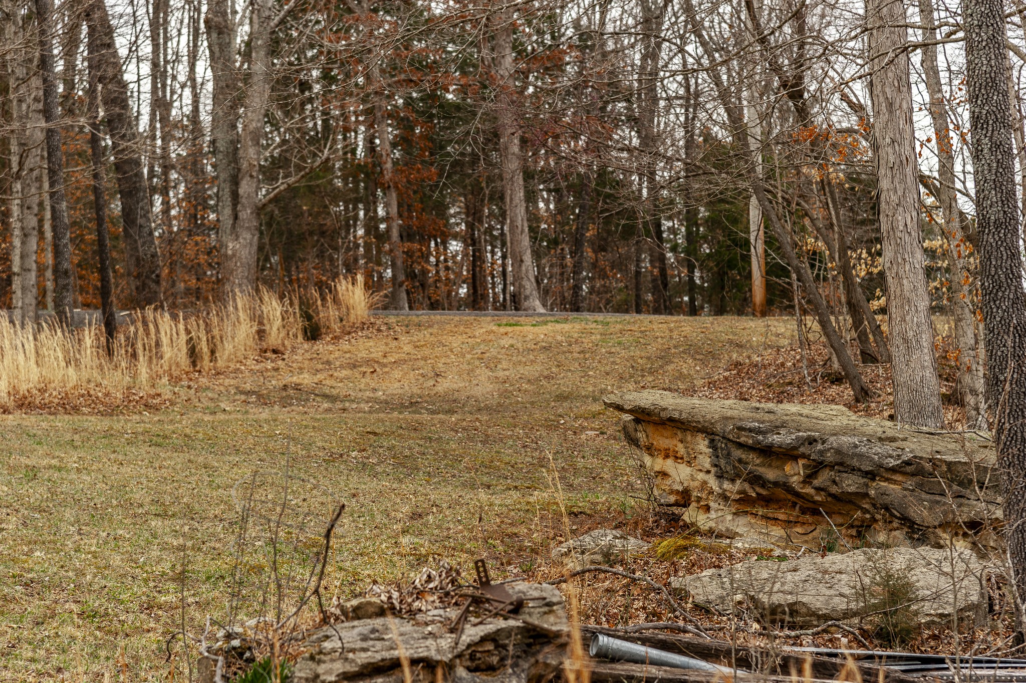 3239 Goolinghorn Road Palmyra, TN 37142 - Photo 65 of 70 Gallery Image 65