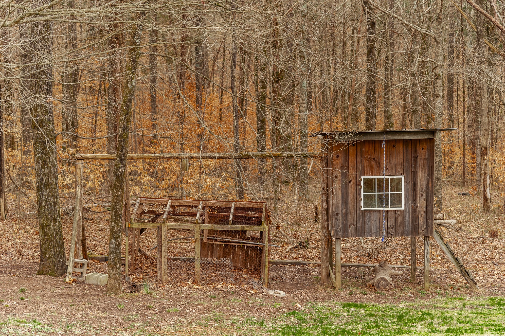 3239 Goolinghorn Road Palmyra, TN 37142 - Photo 66 of 70 Gallery Image 66