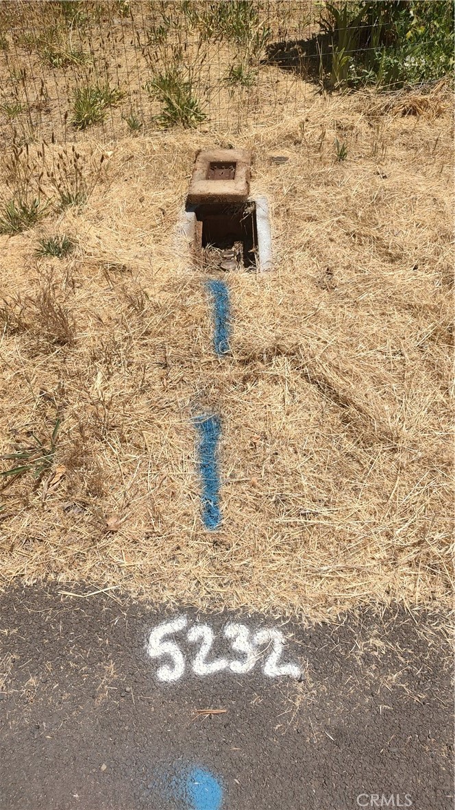 5232 Bennett Road Paradise, CA 95969 - Photo 2 of 5 a view of a backyard of a house
