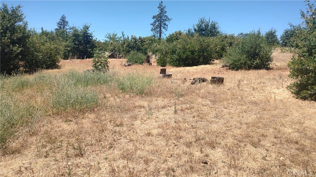 5232 Bennett Road Paradise, CA 95969 - Photo 5 of 5 a view of a dry yard covered with snow in the background