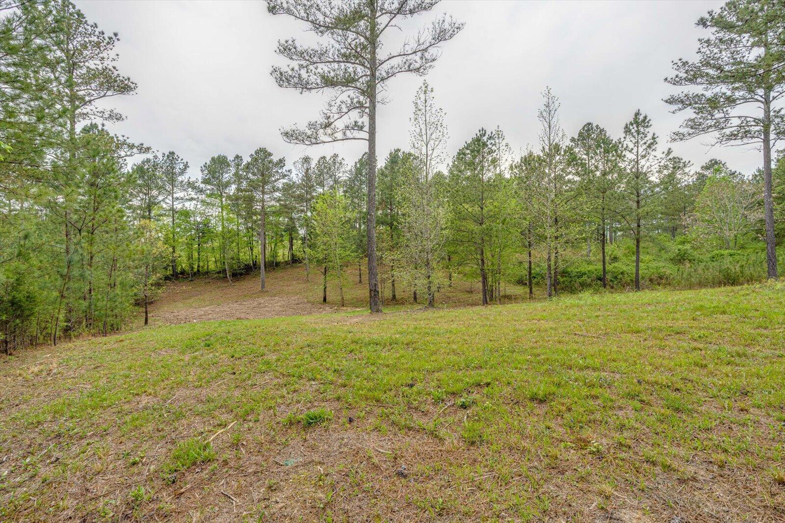 487 Hazelwood Road Dayton, TN 37321 - Photo 34 of 36 34-487 Hazelwood Rd-34