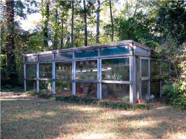 5475 Ridgewood Road Jackson, MS 39211 - Photo 26 of 27 Green house.