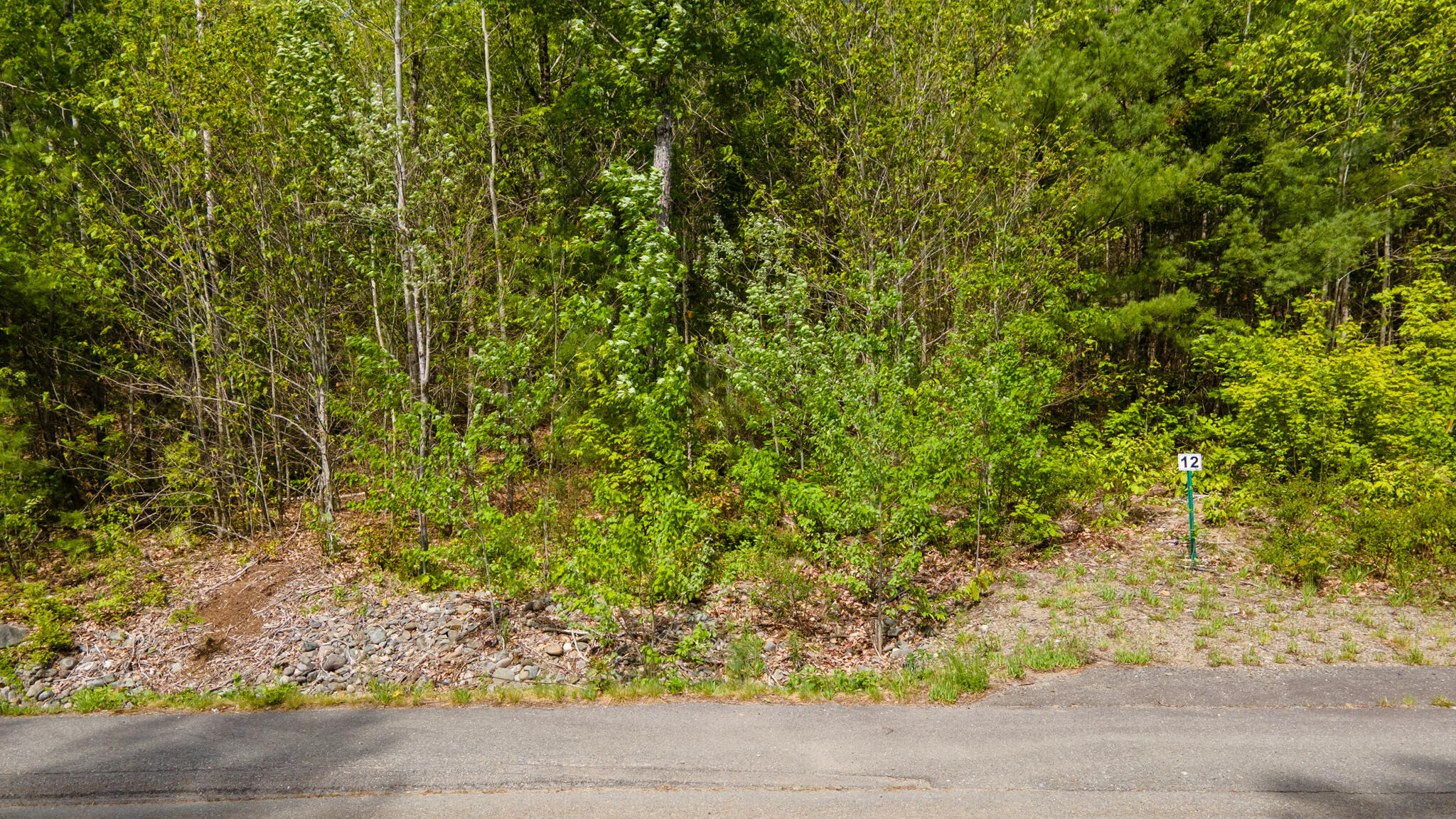 Lot 12 Grant Road Orono, ME 04473 - Photo 2 of 5 12 20250529-DJI_0914-HDR