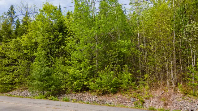 $59,900 | Lot 12 Grant Road, Orono, ME 04473