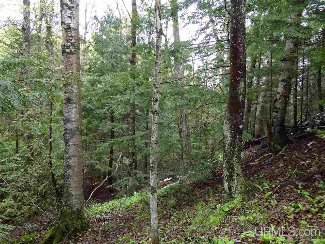 Tbd Freda Road Houghton, MI 49931 - Photo 1 of 15