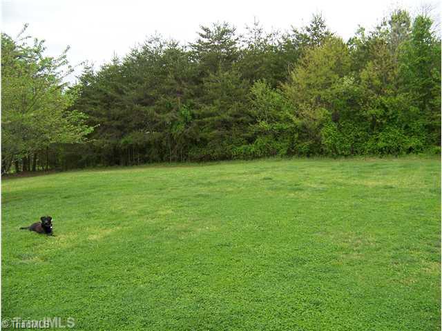 537 McBride Road Mount Airy, NC 27030 - Photo 11 of 13 Yard/Garden.
