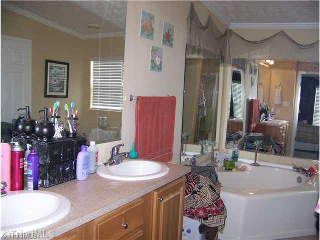 537 McBride Road Mount Airy, NC 27030 - Photo 6 of 13 Master Bath/Spa.