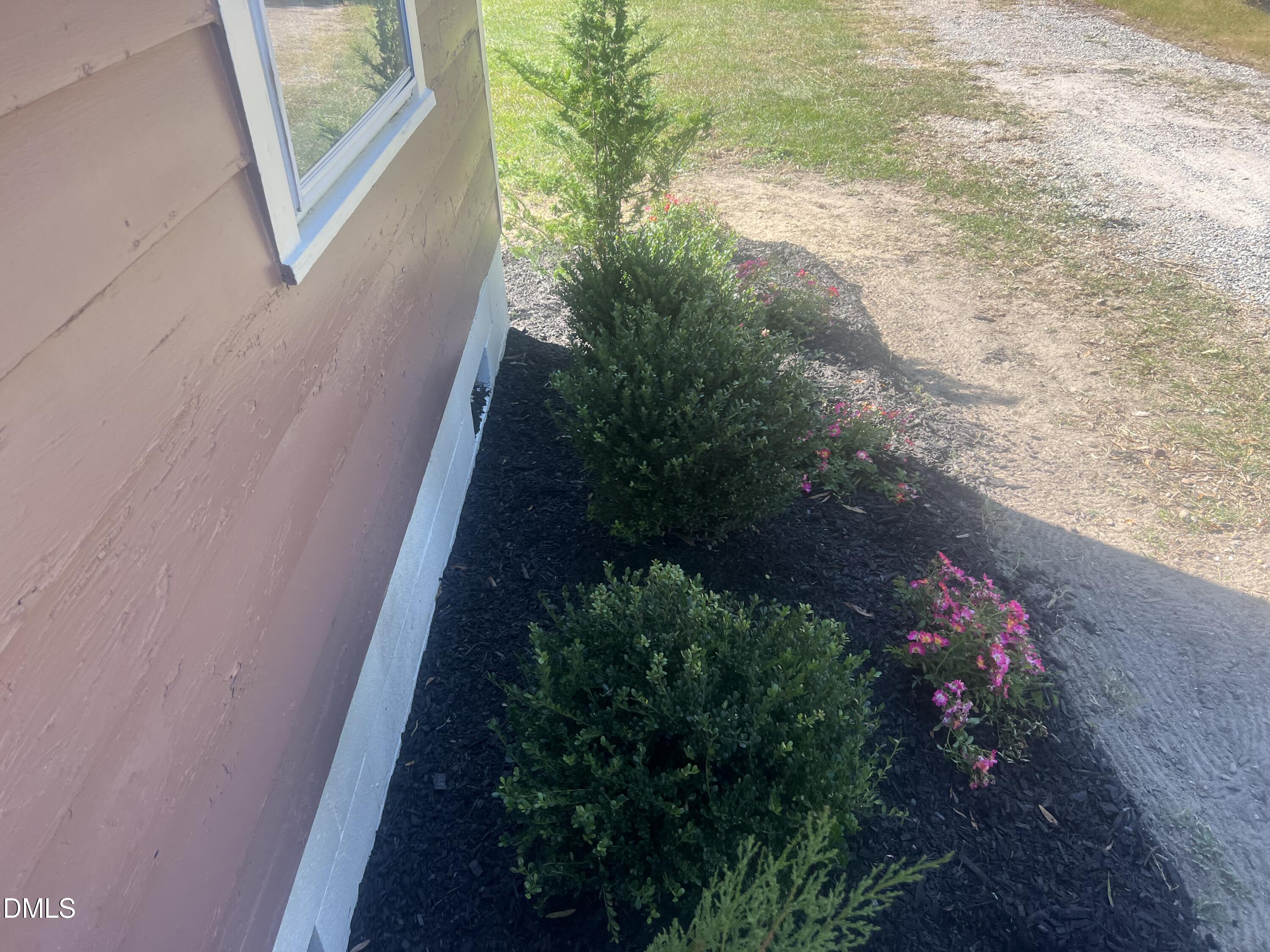 122 Bill Avery Road Coats, NC 27521 - Photo 49 of 51 a close up of a flower in a garden