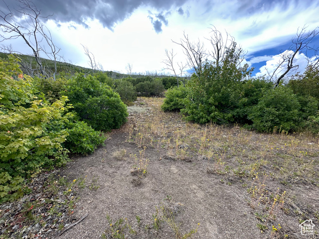 13 West Indian Ridge Drive South Fairview, UT 84629 - Photo 6 of 12 View of undeveloped land with rural landscape