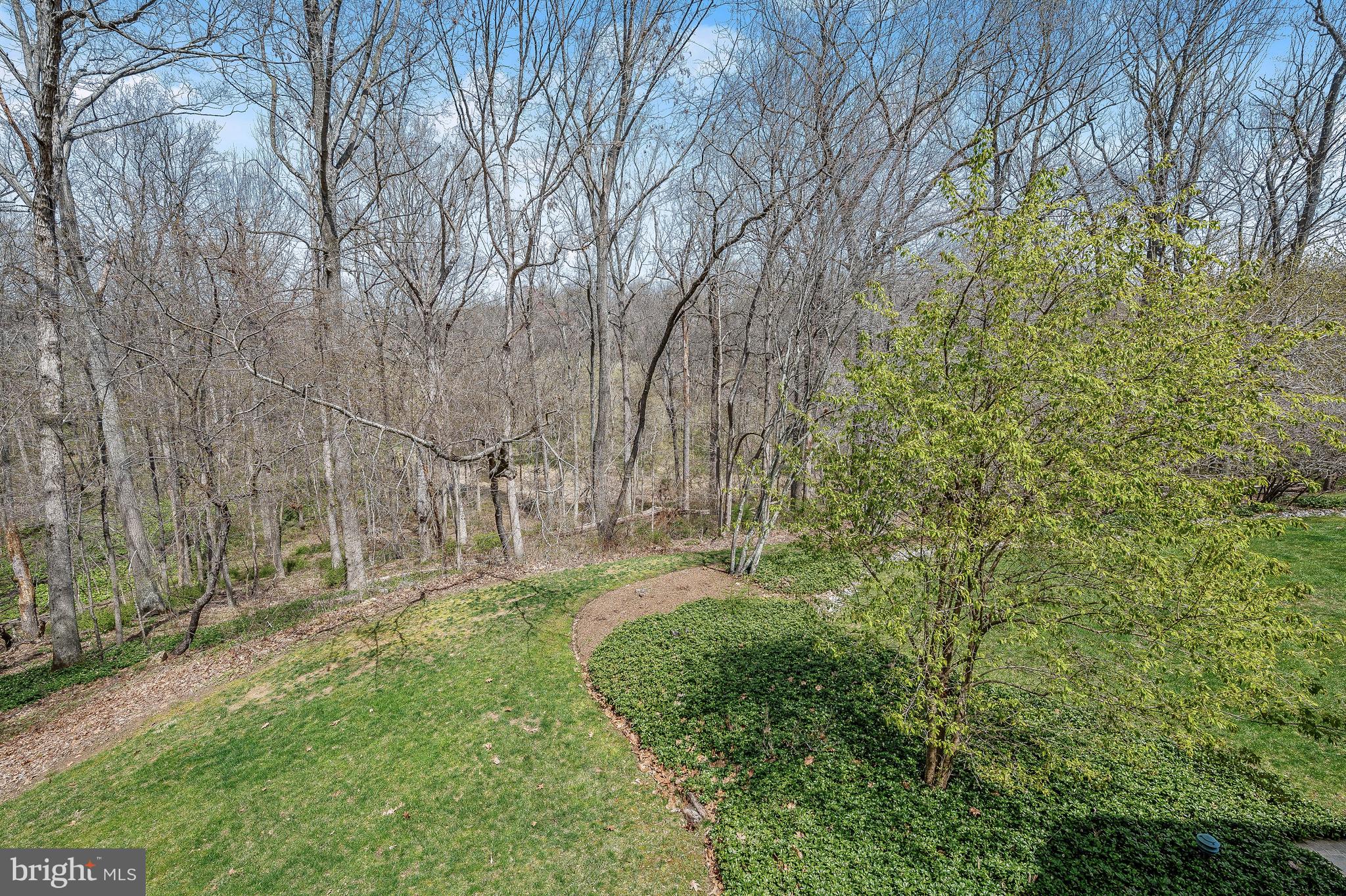 11850 Farside Road Ellicott City, MD 21042 - Photo 22 of 83 View from Side Deck