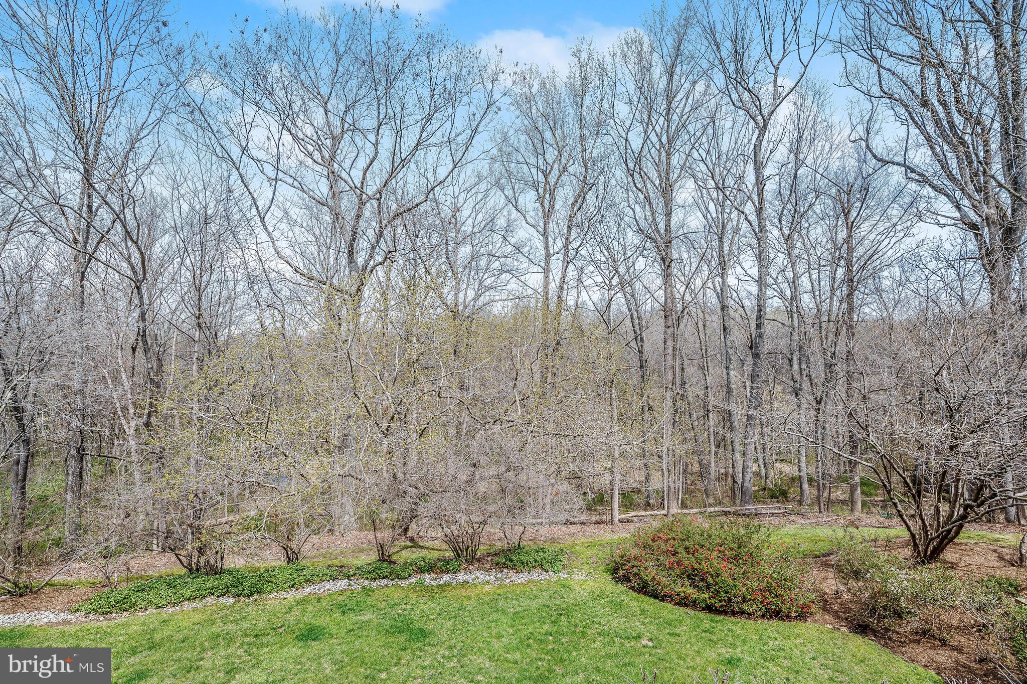 11850 Farside Road Ellicott City, MD 21042 - Photo 34 of 83 Private View
