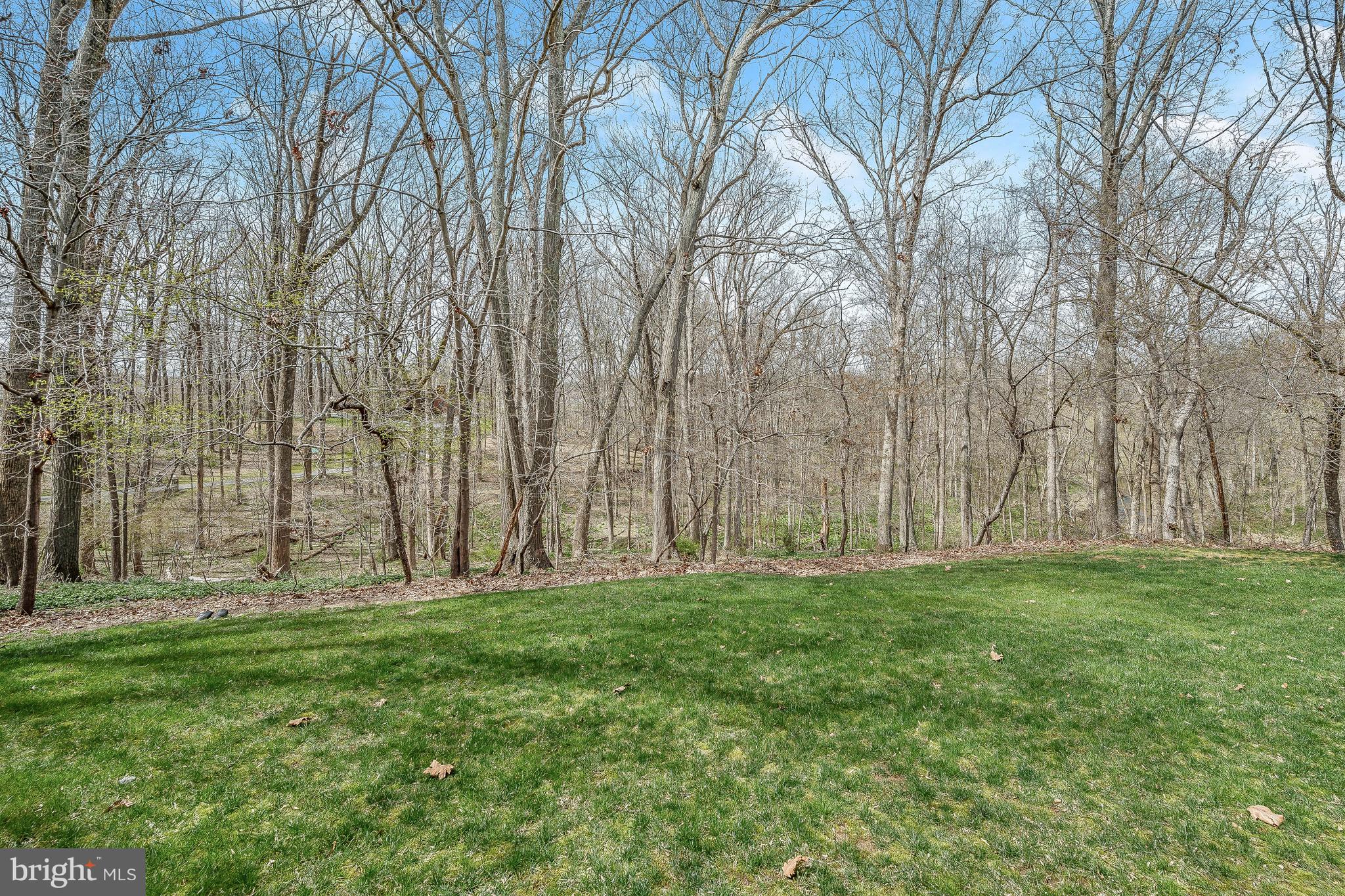 11850 Farside Road Ellicott City, MD 21042 - Photo 77 of 83 Exceptional Private Tree Lined View