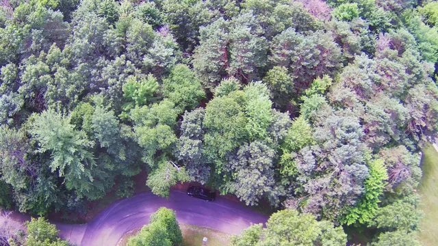 $36,500 | Pine Lane, Unit 17, Wild Rose, WI 54984