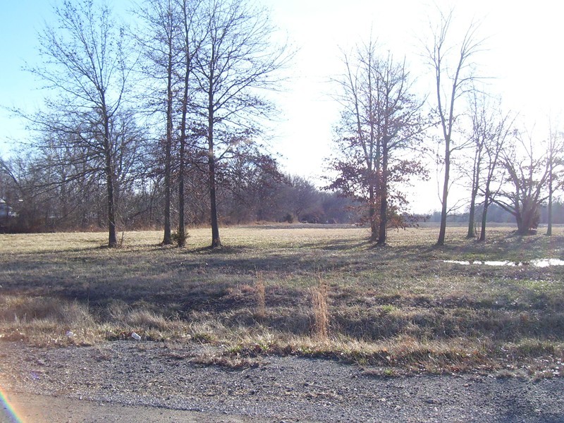 3300-block Selmaville Road Salem, IL 62881 - Photo 3 of 5