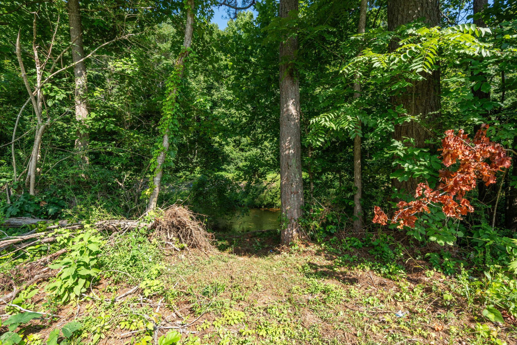 474 Duncan Road Centerville, TN 37033 - Photo 28 of 32
