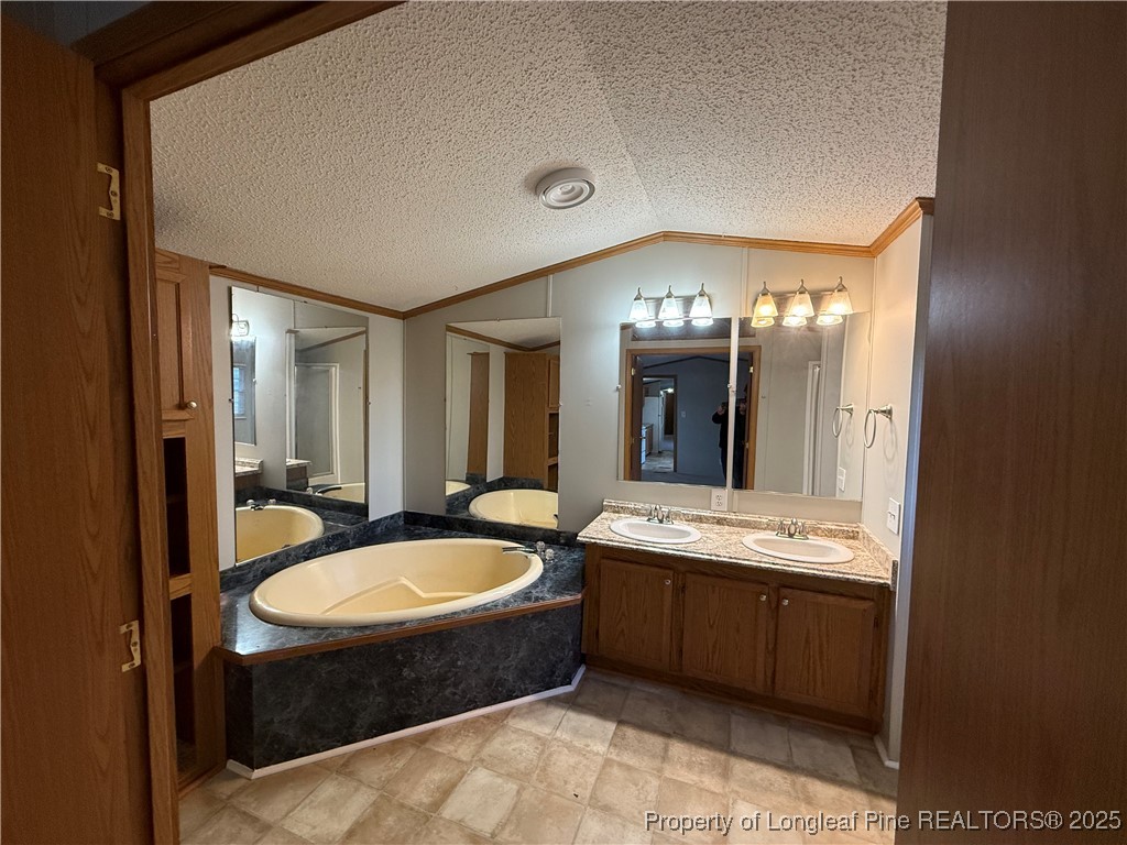 1011 John Godfrey Road Sanford, NC 27332 - Photo 15 of 16 a spacious bathroom with a tub sink and mirror