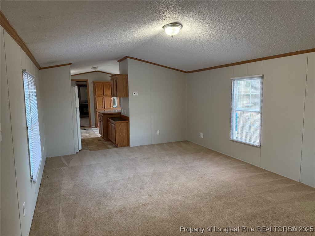 1011 John Godfrey Road Sanford, NC 27332 - Photo 8 of 16 an empty room with closet and windows