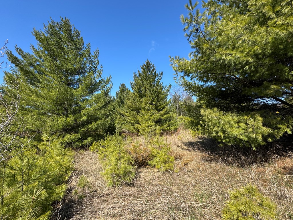 Lot 2 County Road Baileys Harbor, WI 54202 - Photo 6 of 8