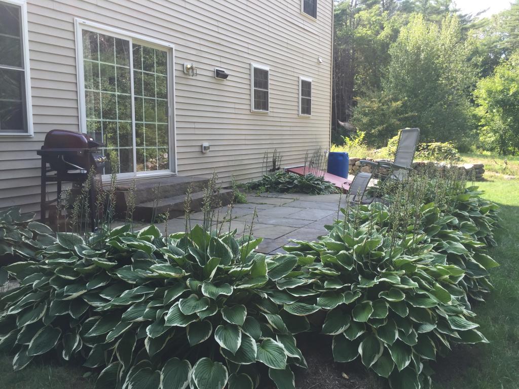 80 Greenfield Road Bennington, NH 03442 - Photo 7 of 27