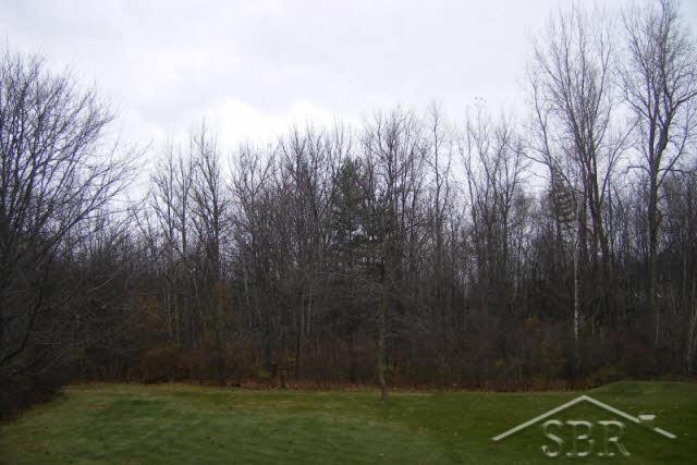 11096 Laduke Road Freeland, MI 48623 - Photo 8 of 21 20035575-7.JPG