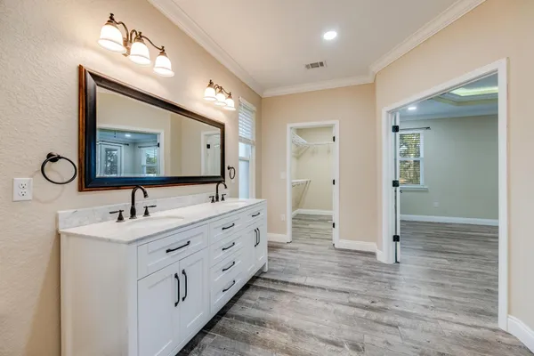 a view of a tree in a park